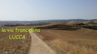 LA VIA FRANCIGENA- lucca