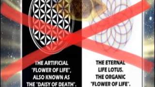 Flower of Life is not artificial ~ Rotation of the Seed of Life ~ Toroidal Field ~ Lu Ka