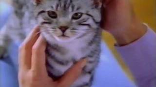 New Zealand TV: Whiskas Advertisement