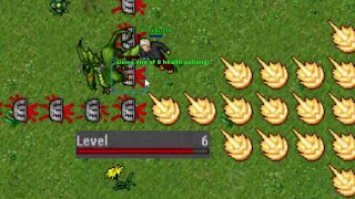 6 Level vs Dragon #tibia 2024