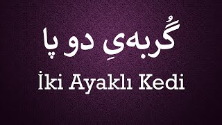 İki Ayaklı Kedi   /   گربۀ دو پا