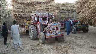 3 tractors pulling heavy loaded sugarcane trolley _ mf 385 and alghazi tractors _ Pendu life(4K)