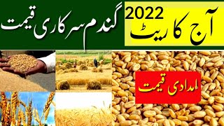 Wheat Support price in Punjab Pakistan 2022| Wheat Support Price in Pakistan Today 2022