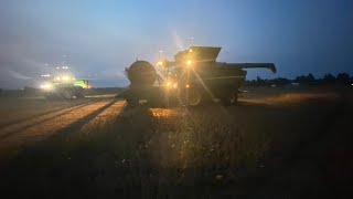 Harvesting the best soybeans I have ever seen