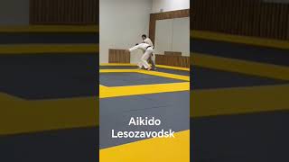 aikido