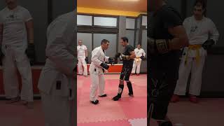 Sukuinage: técnica poderosa do Karaté Jutsu! #karate #karateparainiciantes #karatejutsu #mma