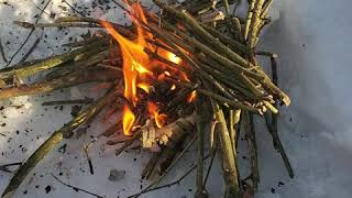 Bushcraft fire