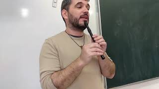 O SON DO AR (CUARTA PARTE) (TIN WHISTLE IRLANDÉS)