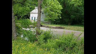 C&O Canal, Pennyfield Lock, in Early May, 2021