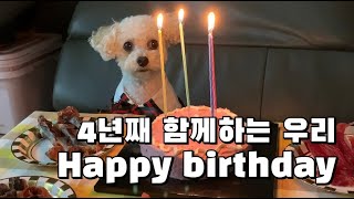 [VLOG]🐶쿤아 생일축하해 (우리집 댕댕이 Happy birthday)🎂 / 전자렌지로 강아지 케이크 만들기 /일상 브이로그 / 강아지 생일파티🥳