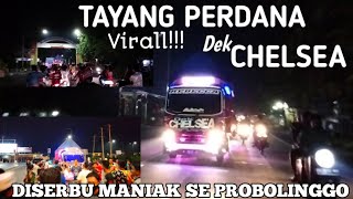 Virall!! DEK CHELSEA PERDANA BAWA CABE SITUBONDO KAWALAN KETAT😱