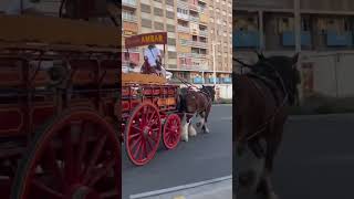 taanga#carriage#lovely trevling#youtube short#