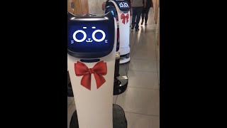 شوفو الربورت بيقدم المشروبات في المطعم Watch the Robot serving Drinks in the restaurant