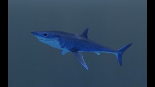 Feed And Grow Fish Mako Shark It Happened Again!?!?