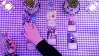 ♋️Kreeft • Week Reading • Tijdloos • Ohhhh Nu Snap Ik Het!! • Tarot Reading 2024