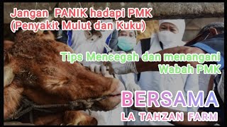 CARA MENCEGAH DAN MENANGANI WABAH PMK (PENYAKIT MULUT DAN KUKU( BERSAMA LA TAHZAN FARM