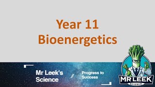 Year 11 Bioenergetics revision questions