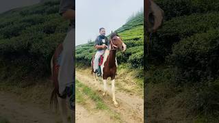 Riding Horse 🐎  like a Pro | Ilam Nepal 🇳🇵 #ktmduke #horse