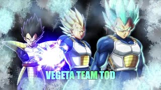 Vegeta Team Easy TOD 100% Combo DRAGON BALL FighterZ