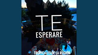 Te Esperare (Cover)