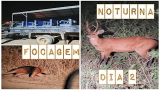 Focagem noturna e último dia no Pantanal - MT | Daniele Ferreira | Embarcando na Aventura.