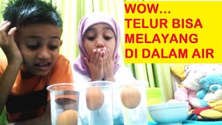 Telur bisa melayang di dalam air #shorts #sains #subscribe