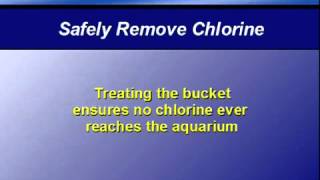 Water Tip 7 - Safely remove chlorine - water series