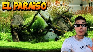 CREO UN ACUARIO PLANTADO PARA MIS PECES - TATTO VLOGS