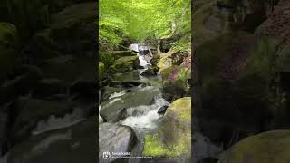 Healey Dell Nature Reserve