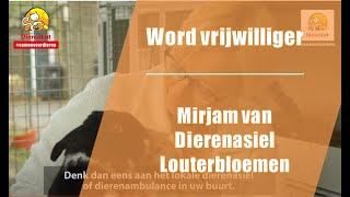 Word vrijwilliger bij je lokale dierenhulporganisatie