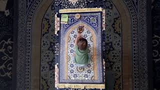 Little kid performing Salat #hussaini #cute #cutebaby #babies #shorts #ytshorts #youtubeshorts