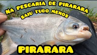 Em busca da minha primeira Pirarara Ep. #4 Pescaria no Pesqueiro Vida Boa 🐟  #pescador #pesqueiro