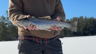 New fishing derby, Feb 3 in Mount Vernon Maine!