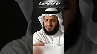 Surat At-Tin by Mishary Rasheed Alfasy Quran Recitation