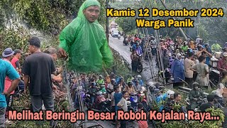 WARGA PANIK..‼️ hujan deras robohkan beringin besar, antrian panjang menunda tujuan