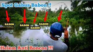 Ganas Spotnya Isinya Babon semua || Casting Ikan Gabus