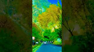 phoolon sa chehra tera# #song #viral #video