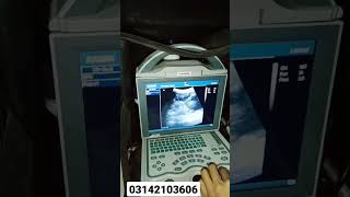 Goat Pregnancy Check Karachi #ultrasound