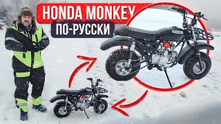 Внедорожный минибайк из Ижевска СКАУТ САФАРИ-4 #МОТОЗОНА N205