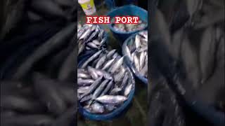 At the main fish port #shortsfeed  #shortsvideo #shorts #minivlog #travel