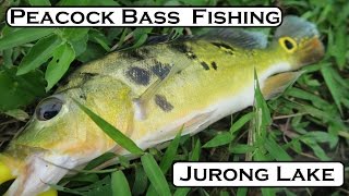 Fishing for Peacock Bass at Jurong Lake Park