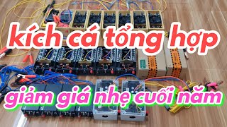 gửi kích cá cơ 16đ 20đ 30đ và điện tử 6F 10F cuối năm cho khách hàng