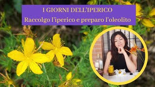 I GIORNI DELL 'IPERICO- Raccolgo l'iperico e preparo l'oleolito (VLOG)