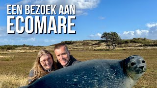 Een bezoek aan Natuurmuseum & Zeehondenopvang Ecomare op Texel