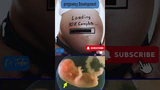 A baby developing in the womb | development of a fetus | pregnancy #baby #ultrasound #fetus