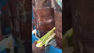 Sugar cane juice