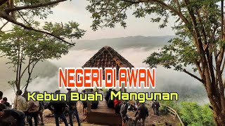 Negeri Di Awan Kebun Buah Mangunan