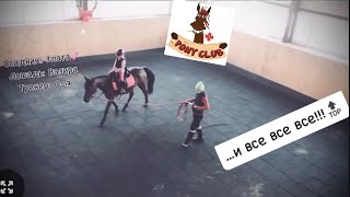 АРАБСКАЯ ЛОШАДЬ Вазира / Тренировка в PONY CLUB