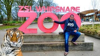 ZSL WHIPSNADE ZOO (2019)