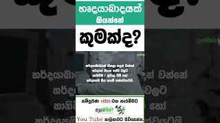 සම්පූර්ණ වීඩියෝ එක https://youtu.be/GTOmTSjYT8s?si=n3kaU2P1SkNvCgid MLT Anushika Perera #viral